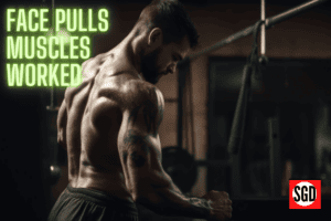 Face Pulls Muscles Worked: A Comprehensive Breakdown